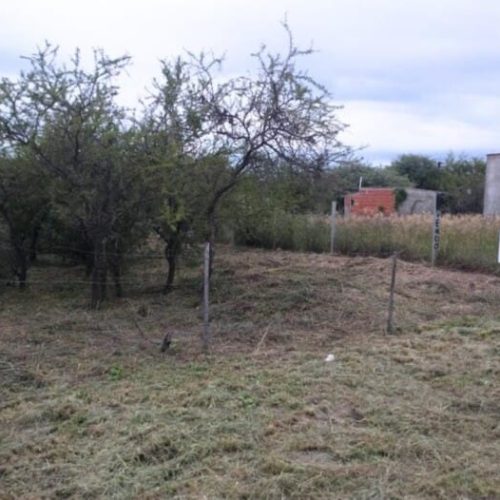 IMG-20260225-WA0011-1