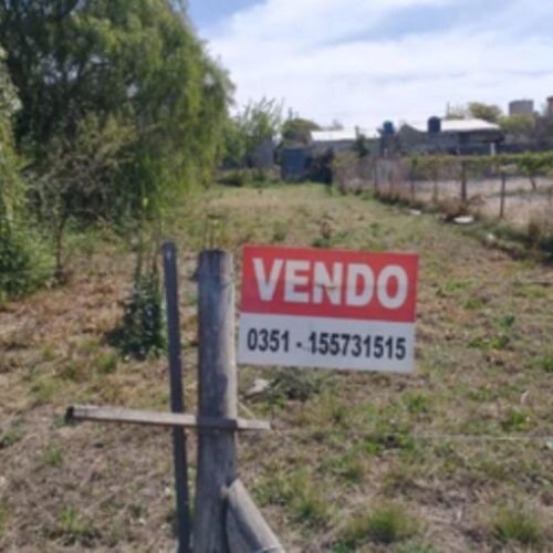 IMG-20260225-WA0015-1