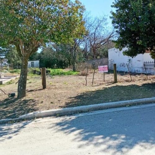 IMG-20260227-WA0006-1