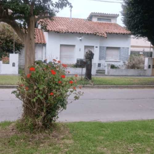 Screenshot_20251219-115815.Facebook2