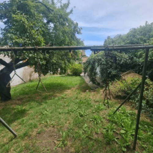 Screenshot_20251219-115822.Facebook3