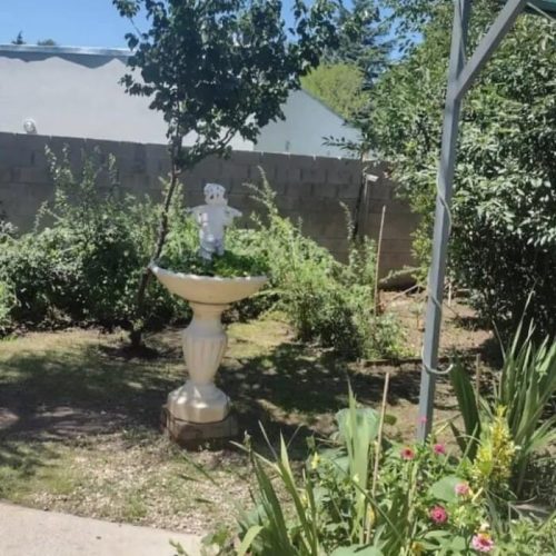 WhatsApp-Image-2025-05-23-at-1.31.14-PM-1