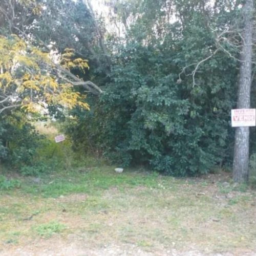 WhatsApp-Image-2025-05-30-at-11.51.23-AM