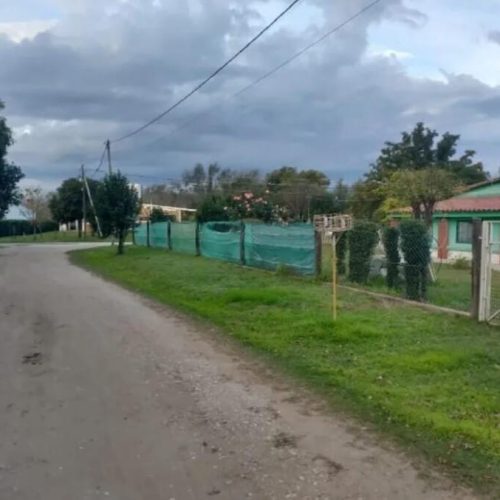 WhatsApp-Image-2025-05-30-at-11.51.24-AM-1