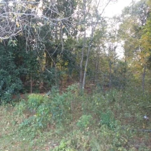 WhatsApp-Image-2025-05-30-at-11.51.24-AM-2