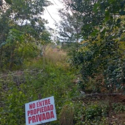 WhatsApp-Image-2025-05-30-at-11.51.24-AM-3