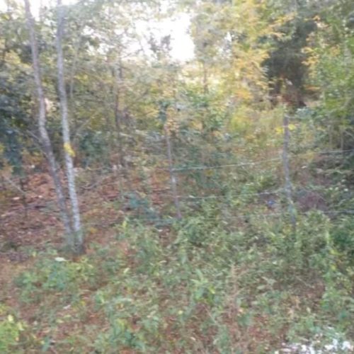 WhatsApp-Image-2025-05-30-at-11.51.25-AM