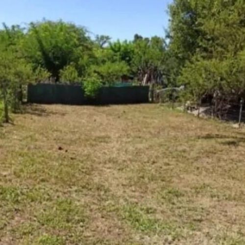 WhatsApp-Image-2025-06-17-at-2.09.05-PM-2