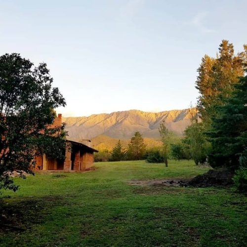 WhatsApp-Image-2025-08-08-at-1.58.06-PM-2