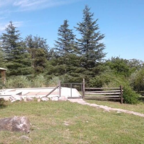 WhatsApp-Image-2025-08-08-at-1.58.07-PM-2