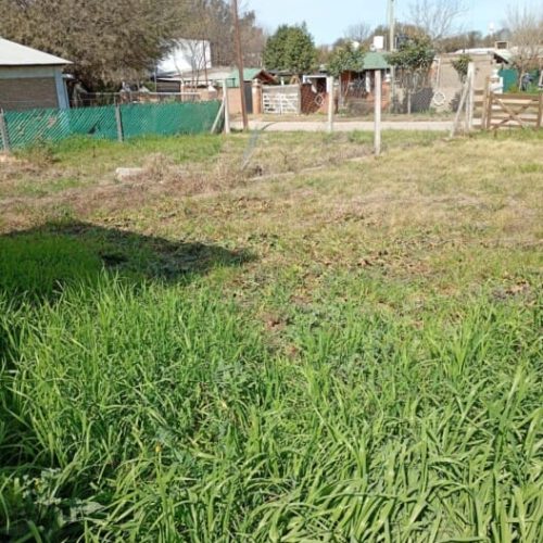 WhatsApp-Image-2025-08-13-at-1.45.36-PM-10