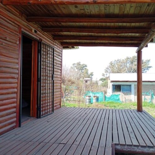 WhatsApp-Image-2025-08-13-at-1.45.36-PM-12