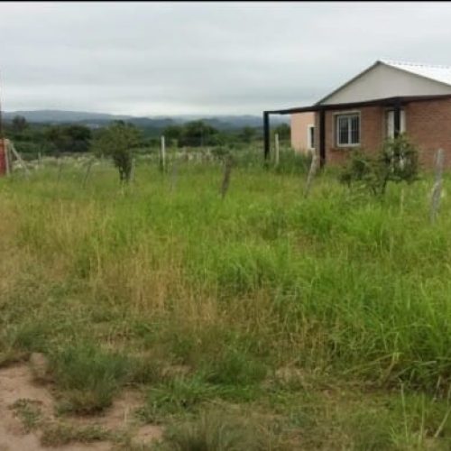 WhatsApp-Image-2025-10-03-at-1.10.38-PM-1