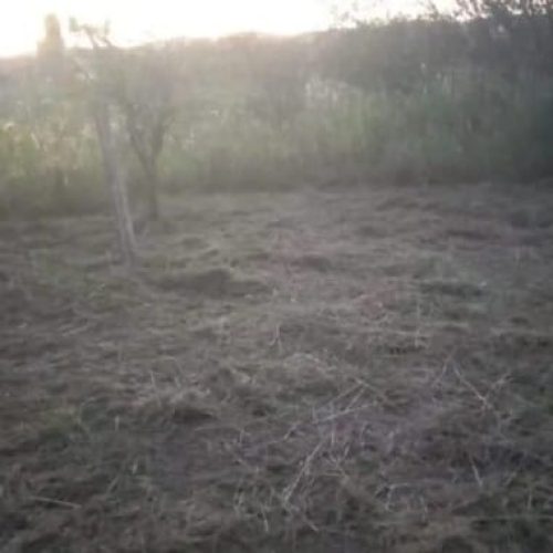 WhatsApp-Image-2025-10-03-at-1.10.38-PM