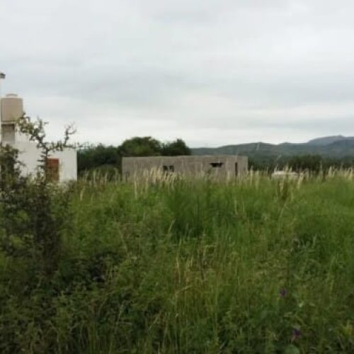 WhatsApp-Image-2025-10-03-at-1.10.39-PM-1