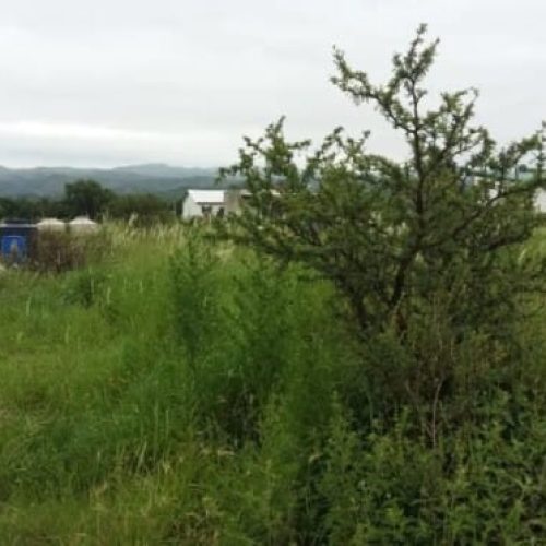 WhatsApp-Image-2025-10-03-at-1.10.39-PM