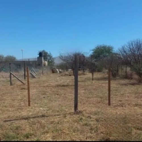 WhatsApp-Image-2025-10-03-at-1.23.33-PM