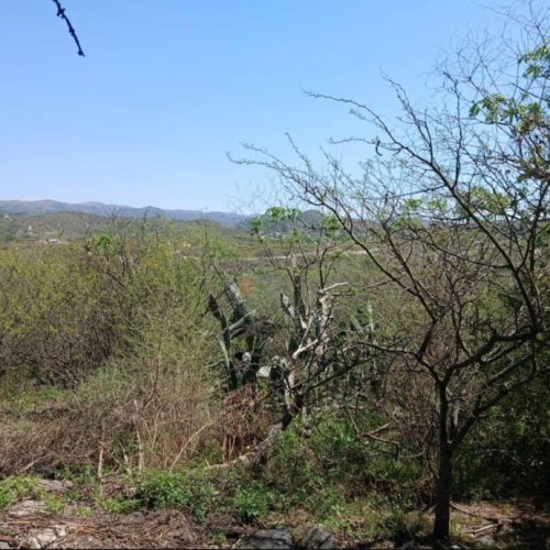 WhatsApp-Image-2025-10-07-at-11.15.50-AM