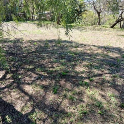 WhatsApp-Image-2025-10-07-at-11.15.51-AM-1