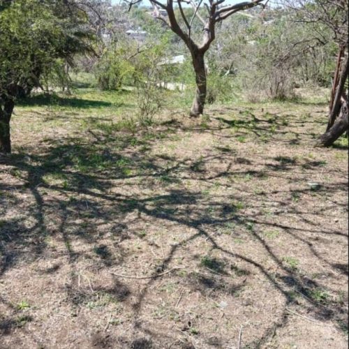 WhatsApp-Image-2025-10-07-at-11.15.51-AM-2