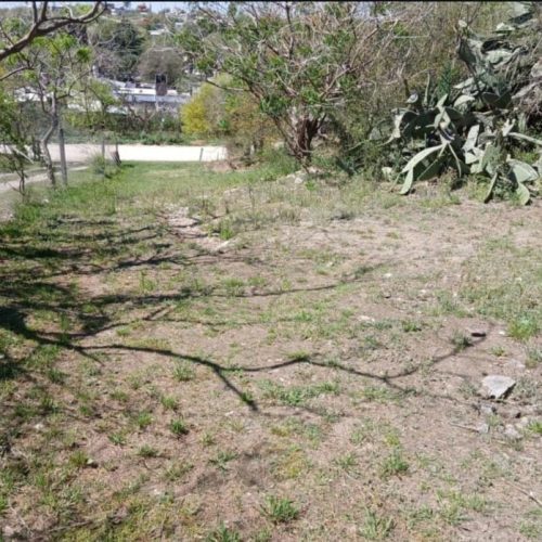 WhatsApp-Image-2025-10-07-at-11.15.51-AM