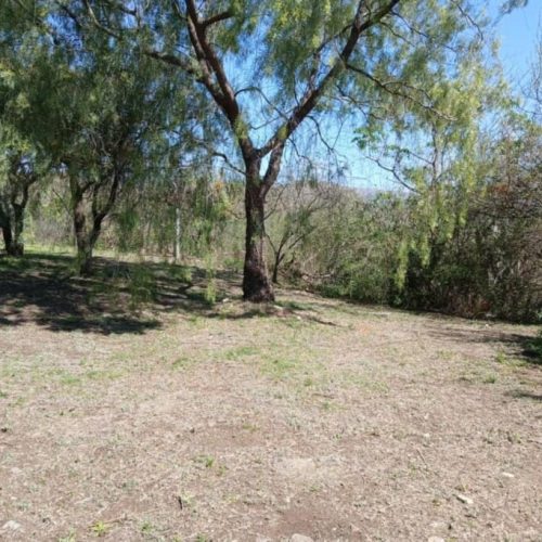 WhatsApp-Image-2025-10-07-at-11.15.52-AM-1