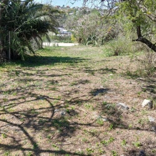 WhatsApp-Image-2025-10-07-at-11.15.52-AM