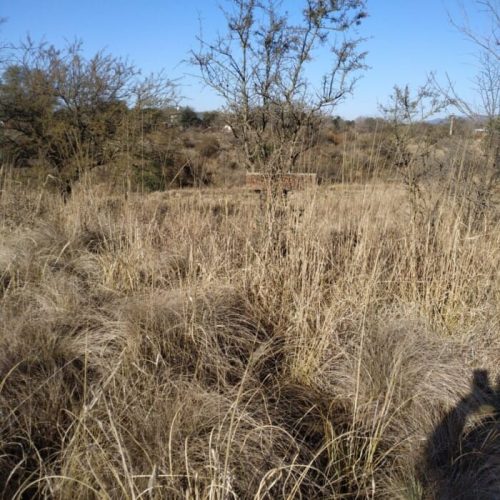 WhatsApp-Image-2025-10-07-at-11.25.07-AM-1