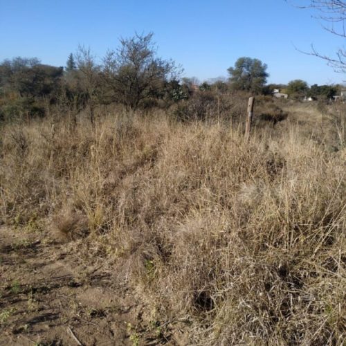 WhatsApp-Image-2025-10-07-at-11.25.07-AM-2