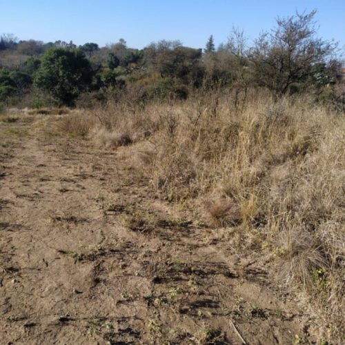 WhatsApp-Image-2025-10-07-at-11.25.07-AM