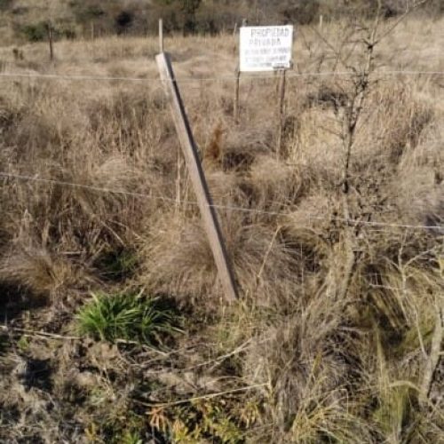 WhatsApp-Image-2025-10-07-at-11.25.08-AM-1