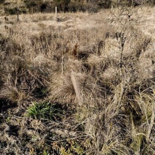 WhatsApp-Image-2025-10-07-at-11.25.08-AM-2