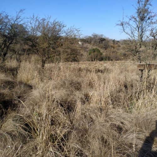 WhatsApp-Image-2025-10-07-at-11.25.08-AM