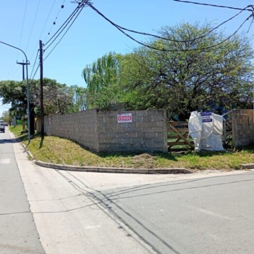 WhatsApp-Image-2025-10-15-at-10.34.29-AM-5