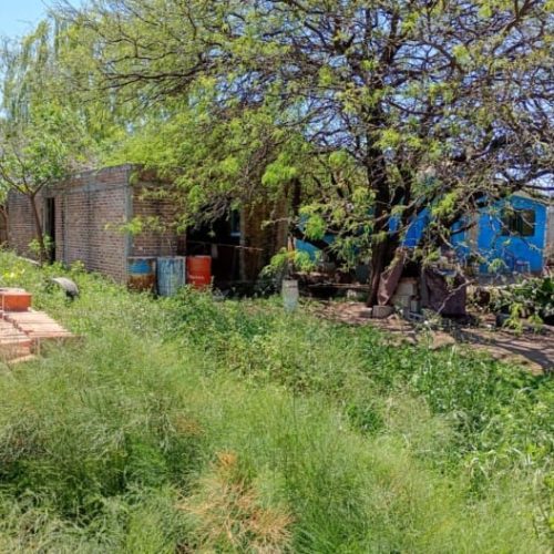 WhatsApp-Image-2025-10-15-at-10.34.29-AM