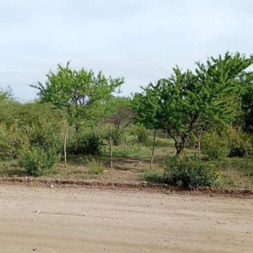 WhatsApp-Image-2025-10-23-at-1.53.01-PM-1