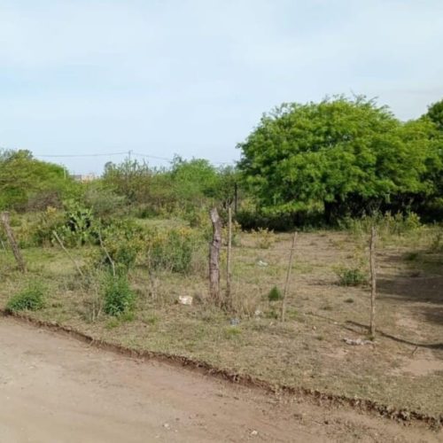 WhatsApp-Image-2025-10-23-at-1.53.01-PM-2