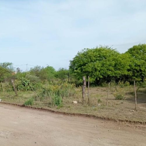 WhatsApp-Image-2025-10-23-at-1.53.01-PM