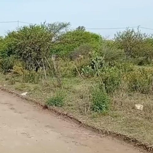 WhatsApp-Image-2025-10-23-at-1.53.02-PM-1